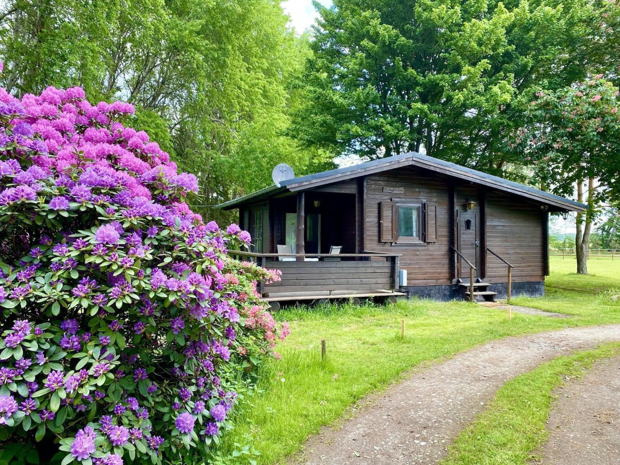 Cozy Holiday Home On A Horse Farm In The L Neburg Heath Eschede Exterior foto