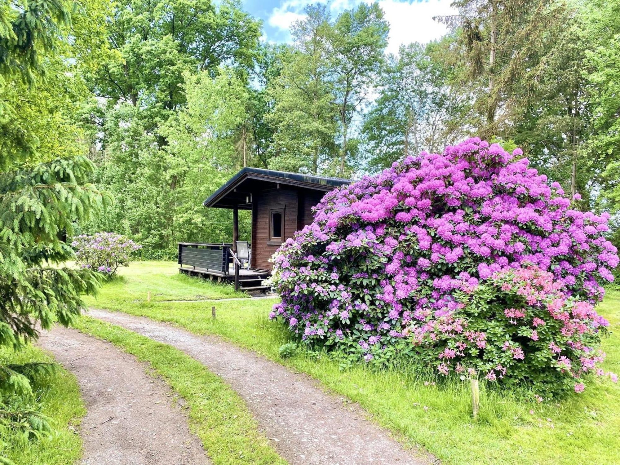 Cozy Holiday Home On A Horse Farm In The L Neburg Heath Eschede Exterior foto